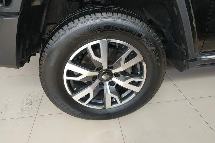 Used Tank 300 2024 2.0T Crosser