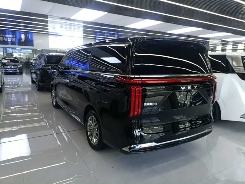 Used Wey Gaoshan 2025 Four-Wheel Drive Alpine 8 — 4