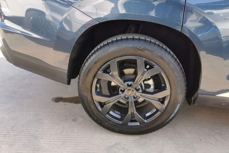 Used EXEED Lanyue 2021 390T Two-Wheel Drive Starry Edition
