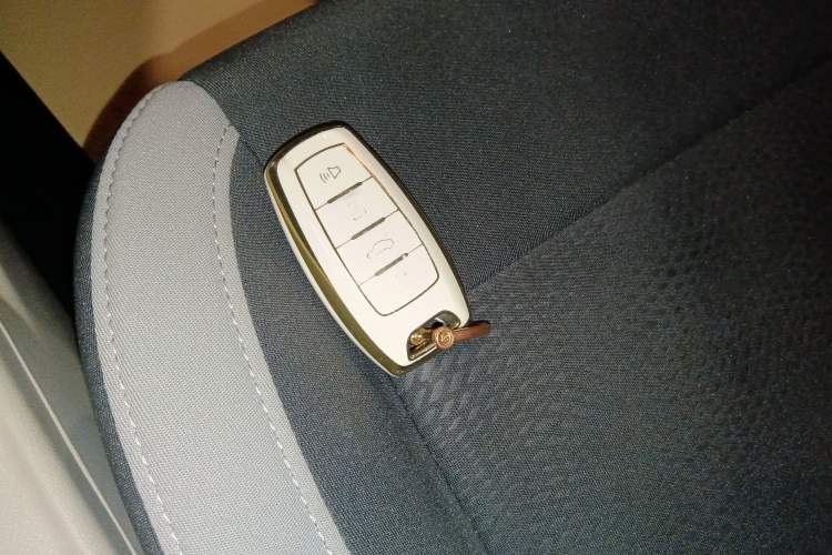 Used ORA White Cat 2020 305 km Luxury Version