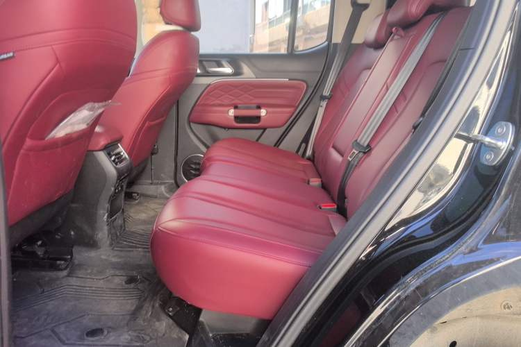 Used Tank 300 2024 2.0T Conqueror