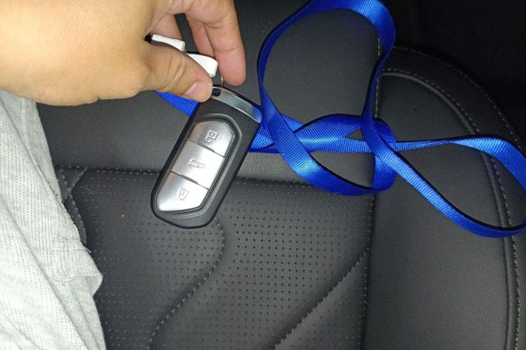 Used VOYAH FREE 2021 Four-Wheel Drive Standard Range-Extended Exclusive Luxury Package Interior 1