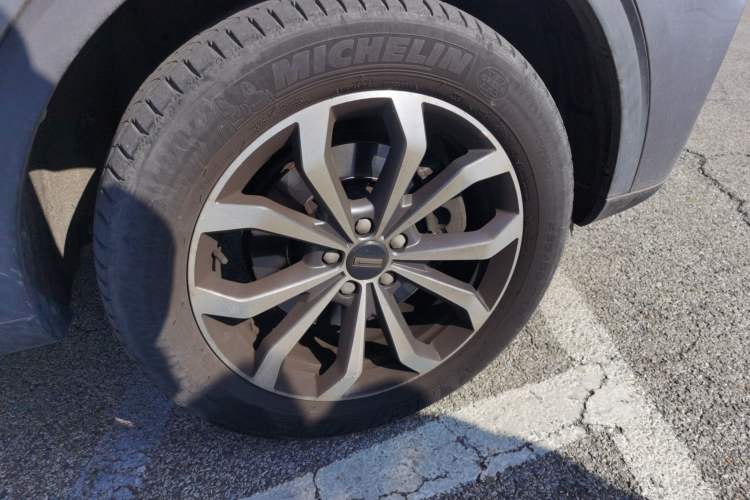 Used Wey VV6 2020 2.0T Two-Wheel Drive Smart Protection+