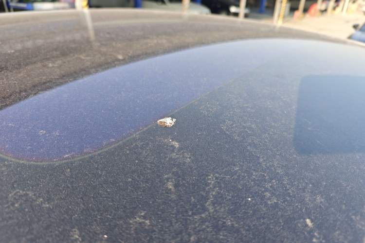 Used Nio EC6 2020 605 km Sport Edition