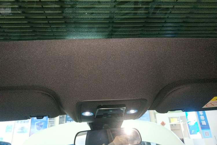 Used BYD Dolphin 2023 420 km Fashion Edition Headliner