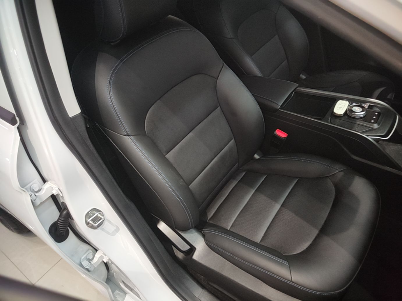 Geely Auto Emgrand New Energy 2022 EV Pro Ride-Hailing Version Lithium Iron Phosphate — снимка 19