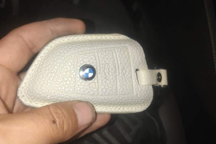 Used BMW 5 Series New Energy 2020 Mileage Upgrade Version 530Le Luxury Package