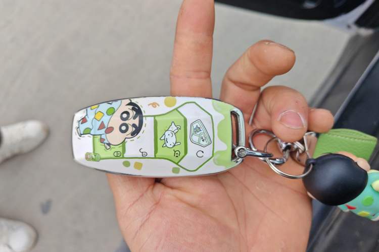 Used BYD Han 2021 EV Standard Range Luxury Model