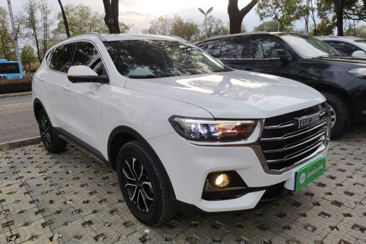 Used Haval H6 2023 National Trend Edition 1.5T Automatic Urban Version
