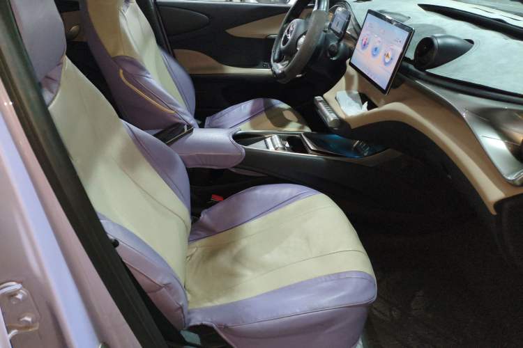 Used BYD Dolphin 2023 420 km Free Version Right Front Seat