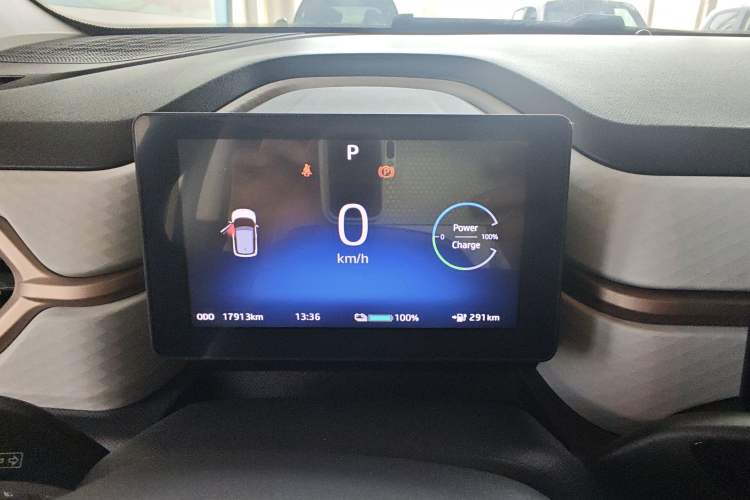 Used SOL E10X 2022 Flower Fairy Design Sunflower