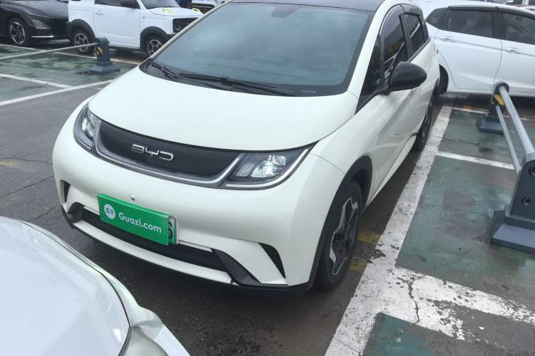 Used BYD Dolphin 2021 405 km Fashion Edition
