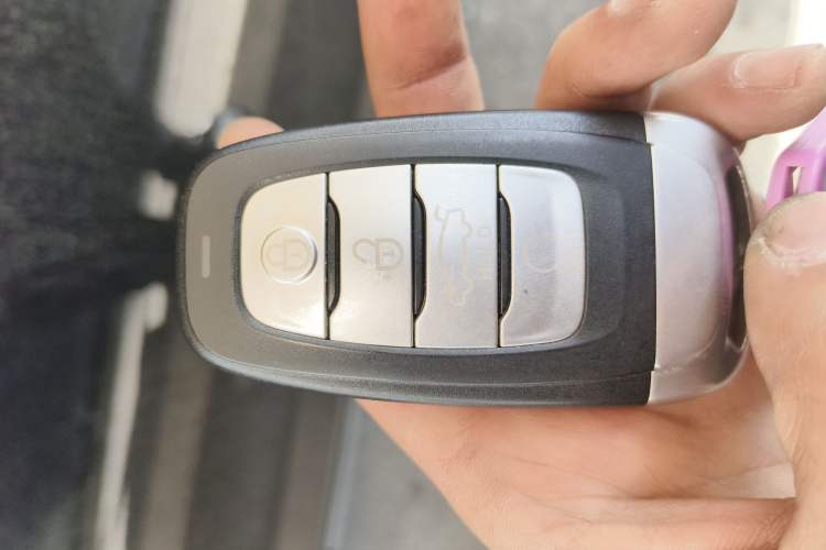 Used Hongqi E-HS9 2021 460 km Range Flagship Edition Six-Seater