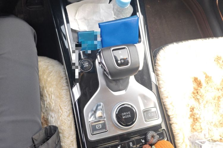 Used Hongqi HS5 2019 2.0T Smart Connect Flagship Edition Gear Lever