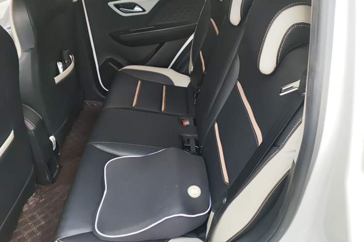 Used SOL E10X 2022 Flower Fairy Style Baby's Breath