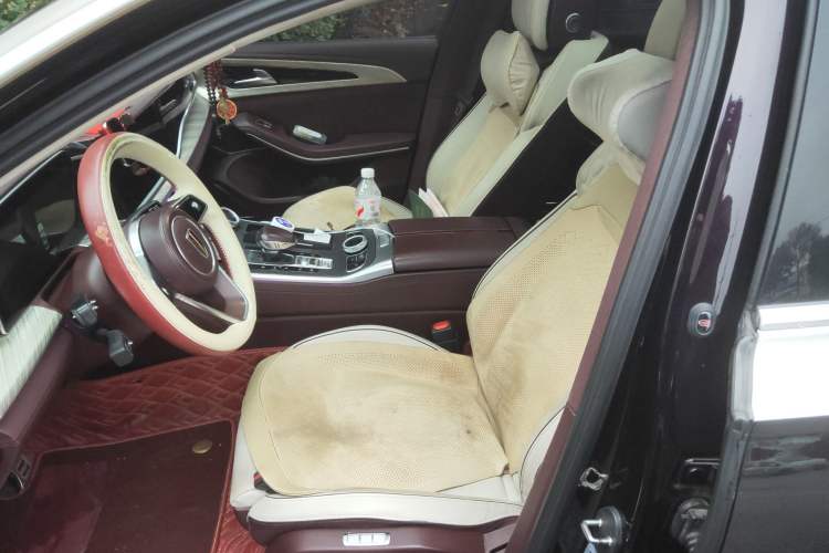 Used Hongqi H9 2020 2.0T Smart Connect Flagship Edition Left Front Seat