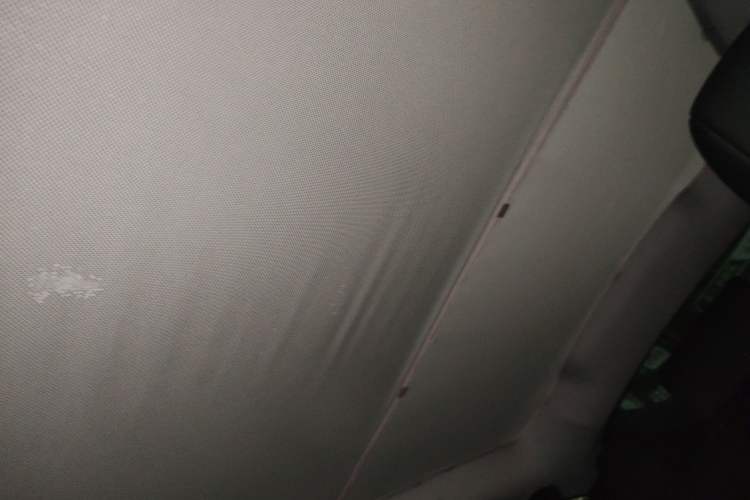 Used Tesla Model Y 2025 Rear-Wheel-Drive Version Headliner