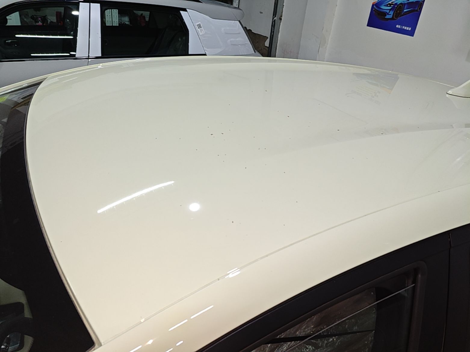 BYD Dolphin 2025 420km Free Edition — снимка 7