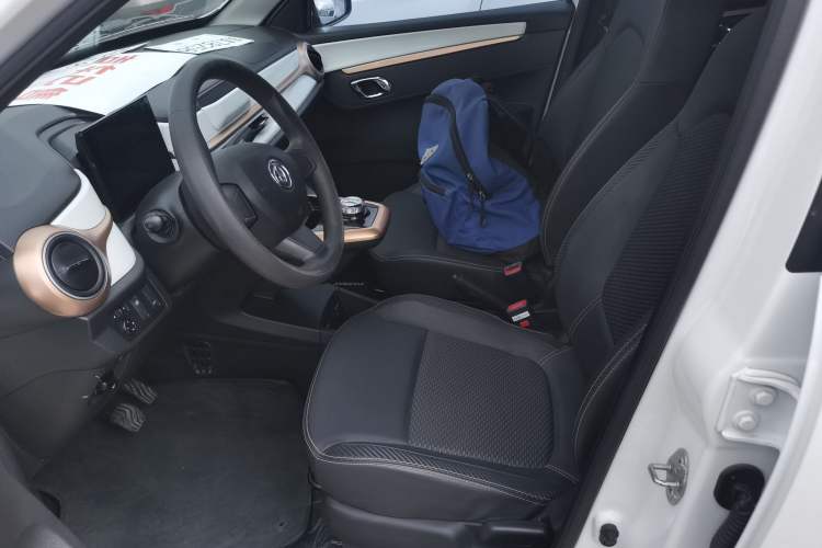 Used Dongfeng NAMMI BOX 2022 Light Wind Edition 201KM Lightning Model Left Front Seat