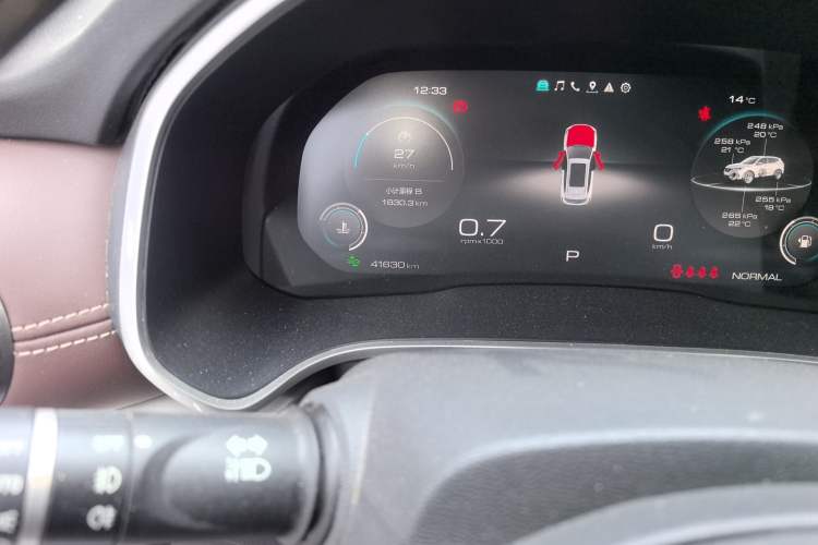 Used Wey VV6 2021 2.0T Two-Wheel Drive Smart Protection+ Odometer Close Up