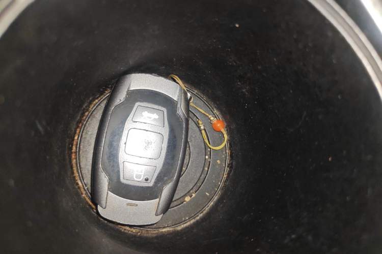 Used BYD Qin New Energy 2015 1.5T Dual-Crown Flagship Plus Edition Vehicle Key