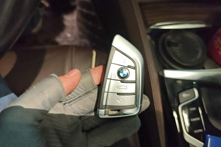 Used BMW 5 Series New Energy 2019 530Le Luxury Package
