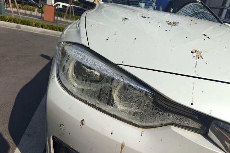 Used BMW 3 Series 2016 320Li Ambition Model