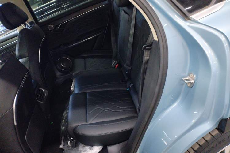 Used VOYAH FREE 2021 Two-Wheel Drive Standard Pure Electric City Edition
