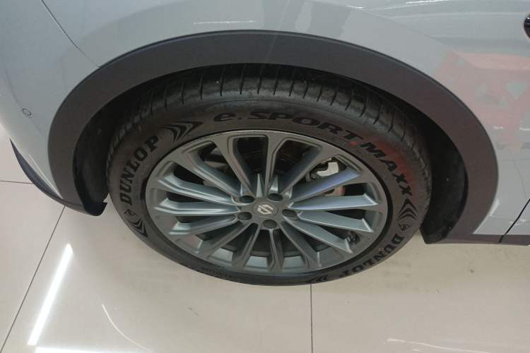 Used Leapmotor C11 2024 All-Electric 580 Luxury Edition Left Front Wheel Hub