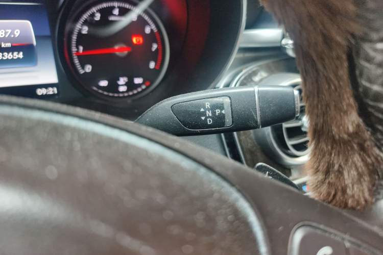 Used Mercedes-Benz GLC 2019 GLC 260 L 4MATIC Luxury Model
