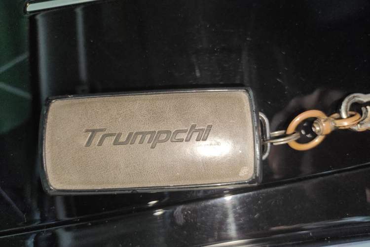 Used GAC Trumpchi M8 2021 Revised Version Lingxiu Series 390T Luxury Edition