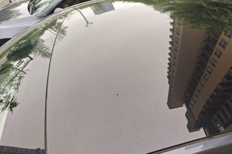 Used Tesla Model Y 2021 Long-Range All-Wheel-Drive Version