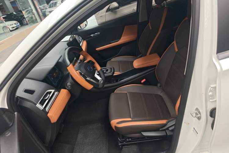 Used BYD e2 2021 Luxury Model