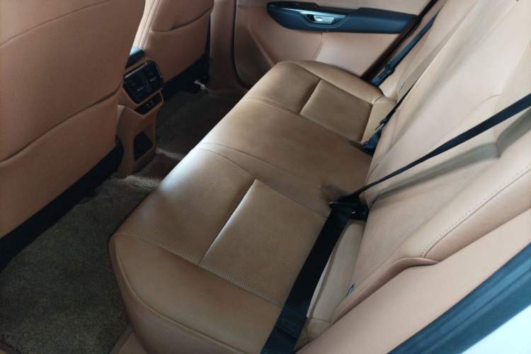 Used Lexus RZ 2023 450e All-Wheel Drive Luxury Edition Left Rear Seat