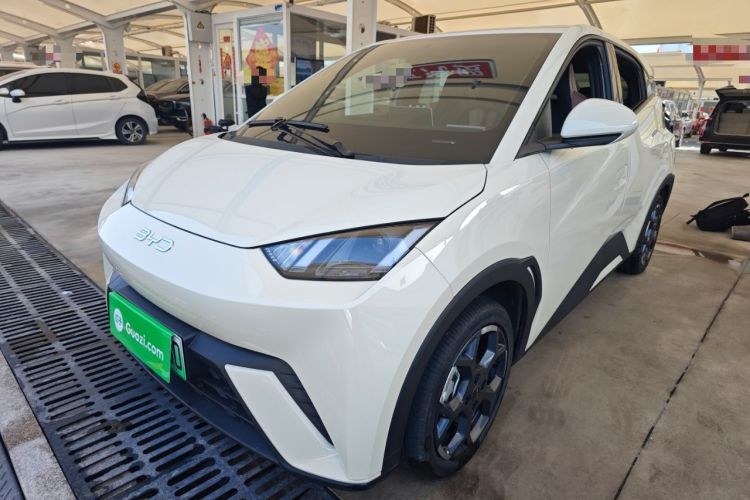 Used BYD Seagull 2025 305 km Free Version