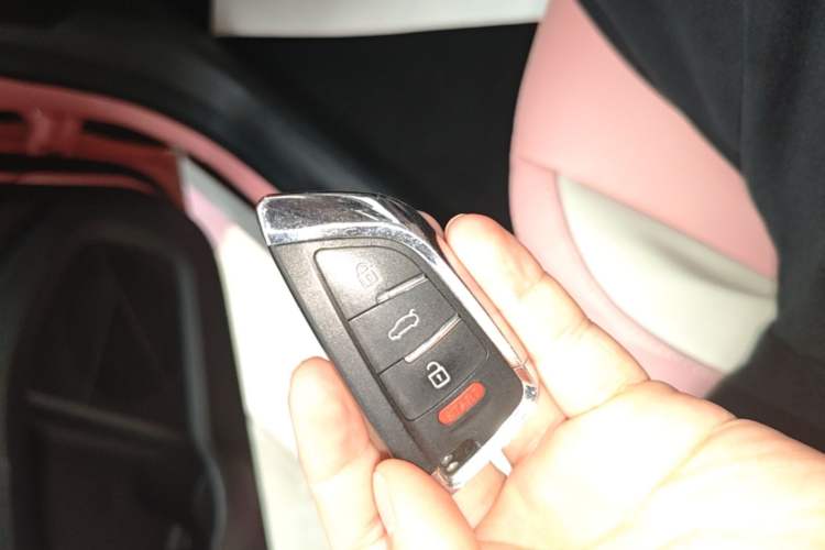 Used NETA V 2021 Witch Edition Vehicle Key