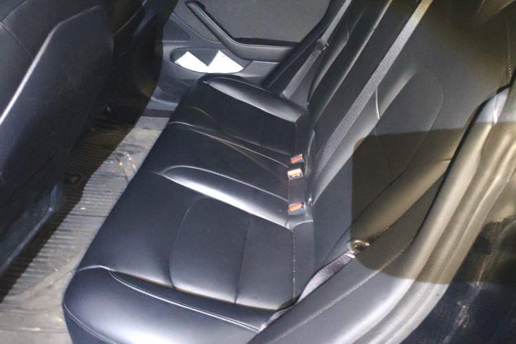 Used Tesla Model 3 2019 Standard Range Rear-Drive Upgraded Version
