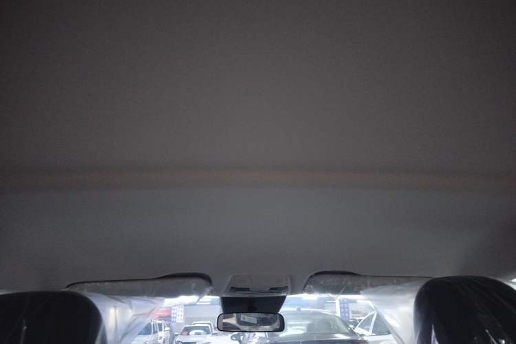 Used Hongqi E-QM5 2023 Revised Version Basic Travel Edition Headliner