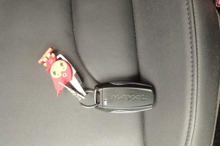 Used Haval H6 2018 Red-Label Sport Edition 1.5T Automatic Two-Wheel Drive Elite Model
