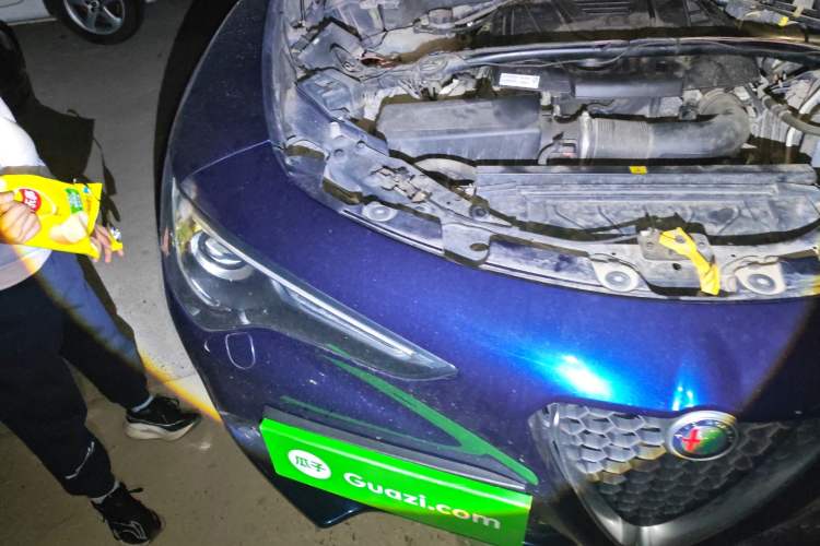 Used Alfa Romeo Stelvio 2017 2.0T 200HP Elite Edition
