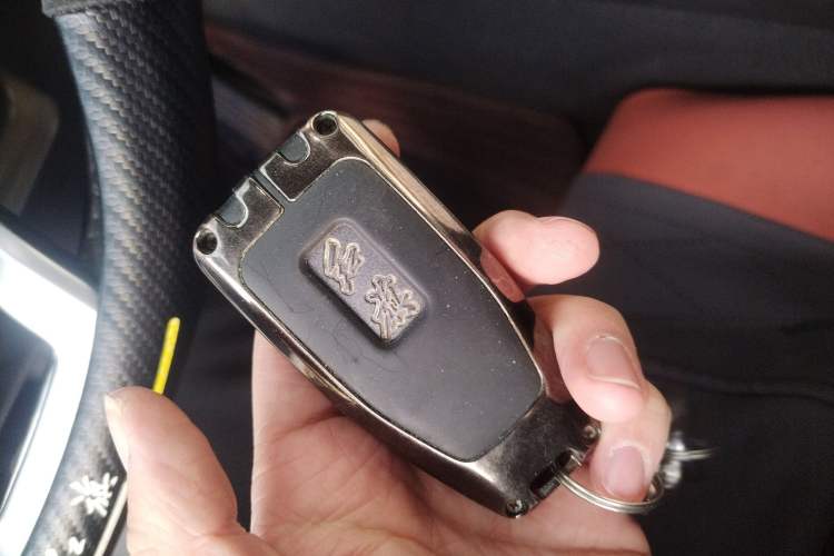 Used Hongqi HS5 2019 2.0T Smart Connect Flagship Edition
