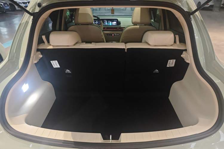 Used ORA Good Cat 2024 501 km Luxury Version Trunk