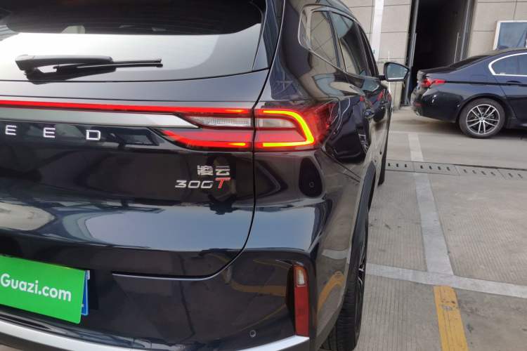 Used EXEED Lingyun 2025 300T Two-Wheel Drive Starry Edition
