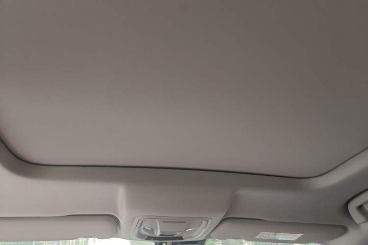 Used Haval H6 2021 3rd Generation 1.5T Automatic Two-Wheel Drive Pro Headliner