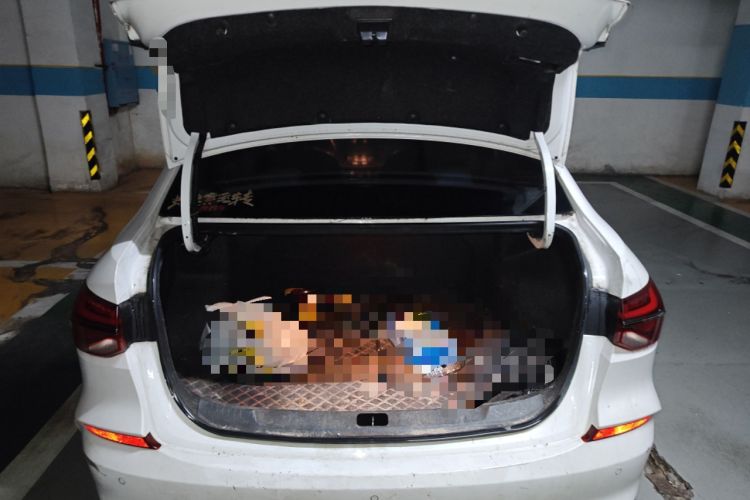 Used Chevrolet Monza 2019 RS 330T Automatic Comfort Edition China VI Standard