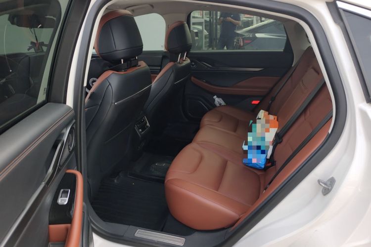 Used Lincoln Z 2022 Facelift iEnjoy Luxury Edition Left Rear Seat