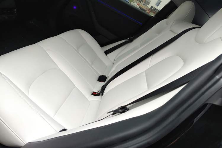 Used Tesla Model 3 2021 Performance High-Performance All-Wheel-Drive Version 3D6 Left Rear Seat