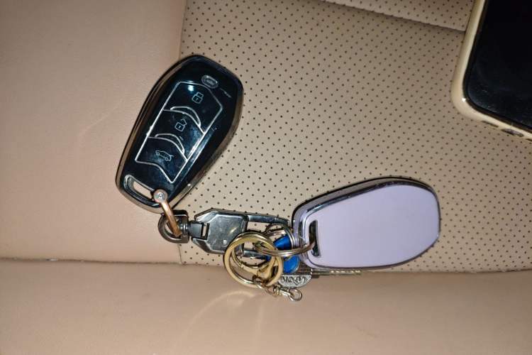 Used Landian E5 2023 1.5L DE-i 100KM Comfort Edition 7-Seater Vehicle Key