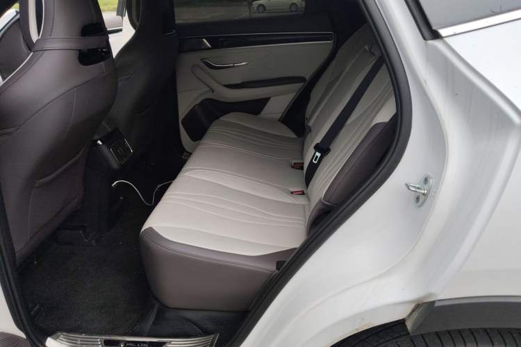 Used BYD Song PLUS New Energy 2025 DM-i Intelligent Driving 112KM Prestige Model Left Rear Seat