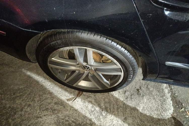 Used Volkswagen FAW-Volkswagen CC 2013 1.8TSI Luxury Model